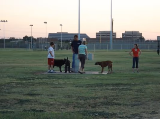 Waggin’ Trail Beal Dog Park photo 2